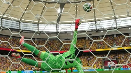 World Cup sparks wave of racist misinformation online