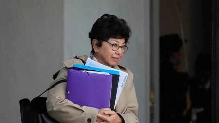 French environment minister to stay on after announcing resignation French environment minister to stay on after announcing resignation