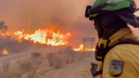 Spain wildfire victims appeared to abandon evacuation route Spain wildfire victims appeared to abandon evacuation route