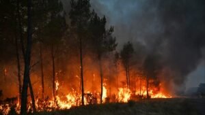 Thousands evacuated as heatwave related fires grip France and Spain Thousands evacuated as heatwave related fires grip France and Spain