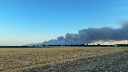 Officials race to contain fire of ‘exceptional scale’ south of Paris Officials race to contain fire of ‘exceptional scale’ south of Paris