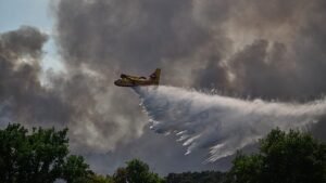 Fontainebleau fire still burning as 850 firefighters tackle blaze Fontainebleau fire still burning as 850 firefighters tackle blaze
