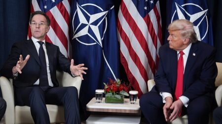 NATO to reaffirm iron-clad commitment to Article 5 at Ankara summit