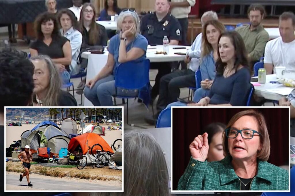 Venice Beach meeting descends into foul-mouthed fury as locals tear into hellhole it’s become Venice Beach meeting descends into foul-mouthed fury as locals tear into hellhole it’s become