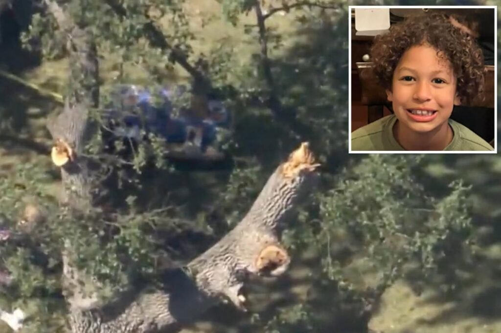 Family of boy, 8, killed by falling tree gets huge sum from California city after text messages emerged Family of boy, 8, killed by falling tree gets huge sum from California city after text messages emerged