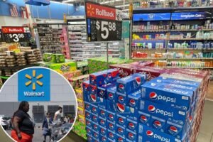 Walmart and Sam’s Club are slashing prices on hundreds of the most popular grocery items this summer Walmart and Sam’s Club are slashing prices on hundreds of the most popular grocery items this summer
