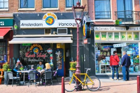 California city votes to transform into Amsterdam pot smokers’ paradise