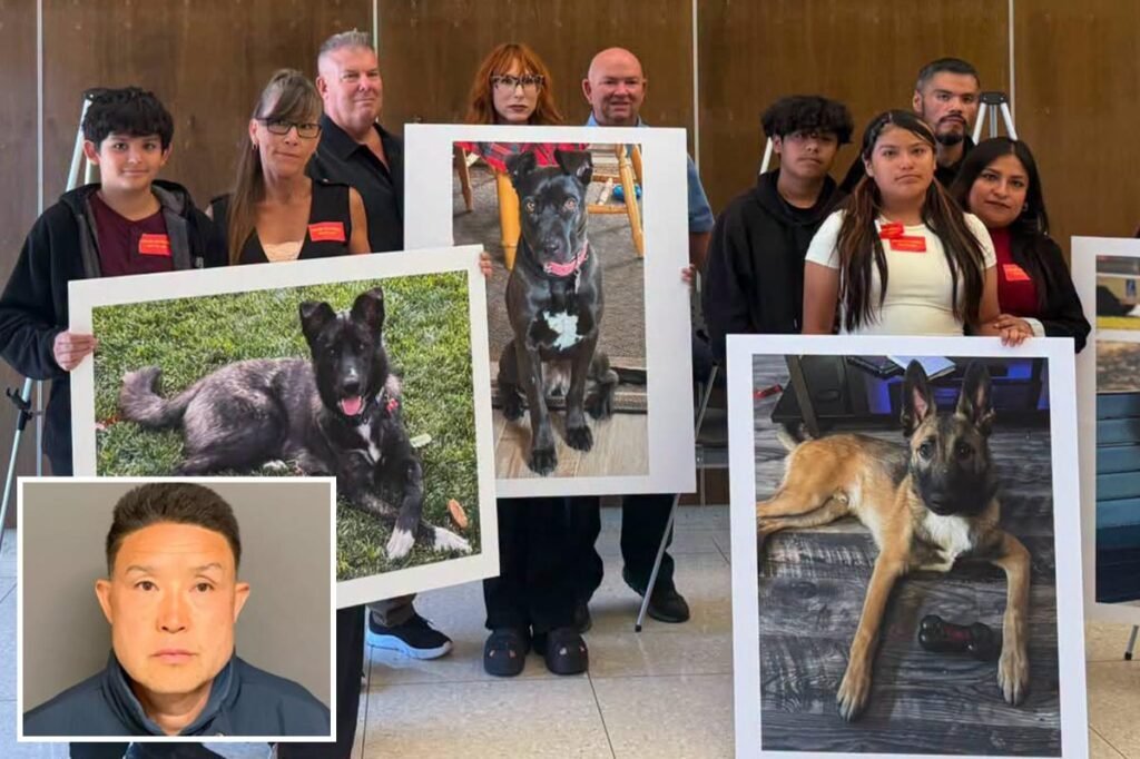 SoCal Dog trainer learns fate for trapping and  killing 11 dogs