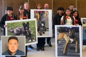 SoCal Dog trainer learns fate for trapping and  killing 11 dogs