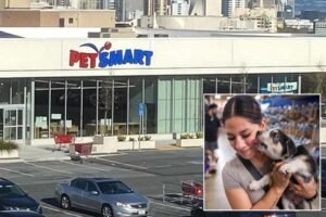 PetSmart to close only outpost in San Francisco PetSmart to close only outpost in San Francisco