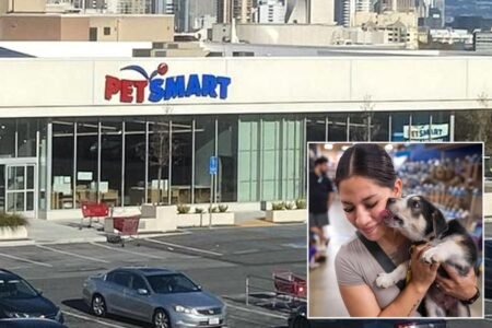 PetSmart to close only outpost in San Francisco PetSmart to close only outpost in San Francisco