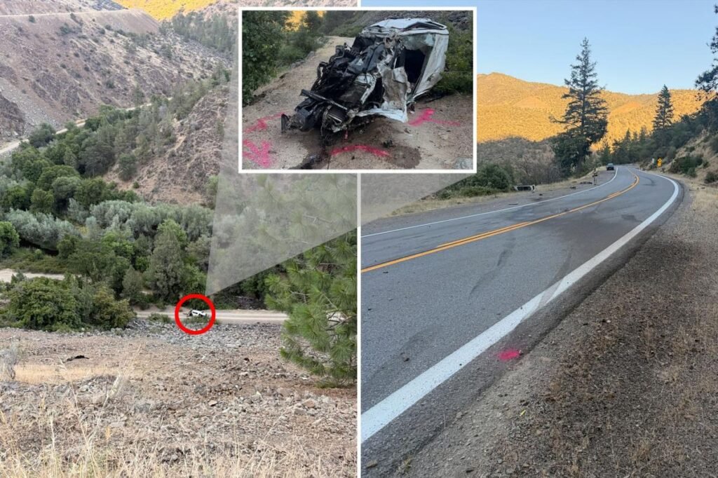 Driver somehow escapes death after plunging 600 feet off cliff — but ends up in cuffs anyway Driver somehow escapes death after plunging 600 feet off cliff — but ends up in cuffs anyway
