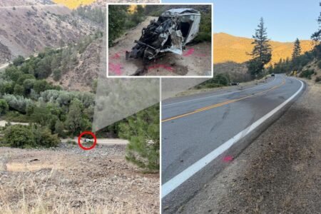 Driver somehow escapes death after plunging 600 feet off cliff — but ends up in cuffs anyway Driver somehow escapes death after plunging 600 feet off cliff — but ends up in cuffs anyway