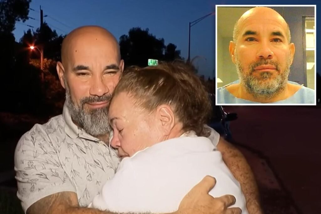 Plane hijacker awaiting deportation freed by Dem-appointed ‘activist’ judge Plane hijacker awaiting deportation freed by Dem-appointed ‘activist’ judge