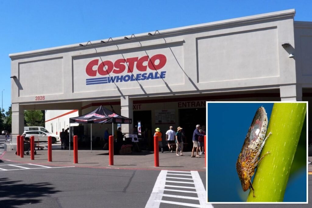 Why Santa Clara County is going door to door looking for Costco purchases Why Santa Clara County is going door to door looking for Costco purchases