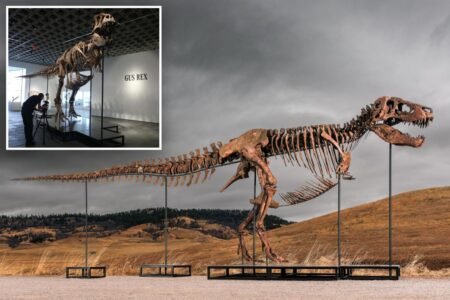 Mystery bidder buys ‘Gus’ the T. rex for a record M: ‘Exceptional find’