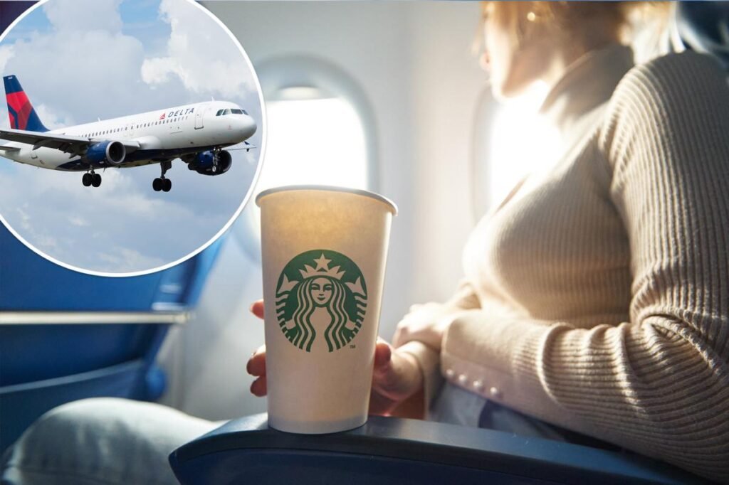 Airline passengers rank the best food and drinks in economy — and the most hated snack some sneak onto planes Airline passengers rank the best food and drinks in economy — and the most hated snack some sneak onto planes