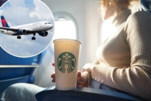 Airline passengers rank the best food and drinks in economy — and the most hated snack some sneak onto planes Airline passengers rank the best food and drinks in economy — and the most hated snack some sneak onto planes