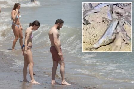 What times to see the California grunion run in 2026 – two-hour viewing windows start this week What times to see the California grunion run in 2026 – two-hour viewing windows start this week