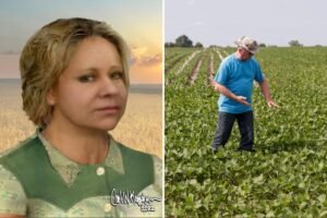 Chicago murder victim identified 50 years after she was found in box in Indiana cornfield Chicago murder victim identified 50 years after she was found in box in Indiana cornfield