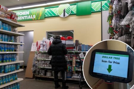 Dollar Tree installs customer price scanners for a disheartening reason: ‘Never thought I’d see the day’ Dollar Tree installs customer price scanners for a disheartening reason: ‘Never thought I’d see the day’