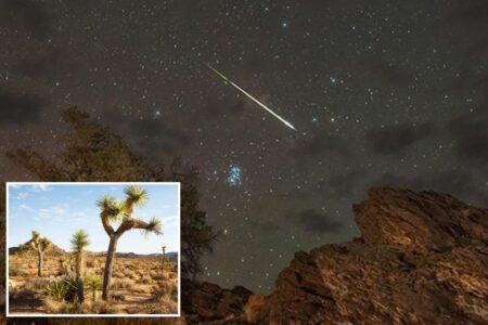 Look up, Angelenos! You can spot ‘the best meteor shower of the year’ beginning tomorrow