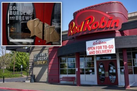 Red Robin trims its flock: Burger chain closes another restaurant in shakeup that could see 50 shuttered Red Robin trims its flock: Burger chain closes another restaurant in shakeup that could see 50 shuttered