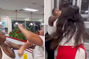 Animal-style brawl breaks out at California In-N-Out Animal-style brawl breaks out at California In-N-Out