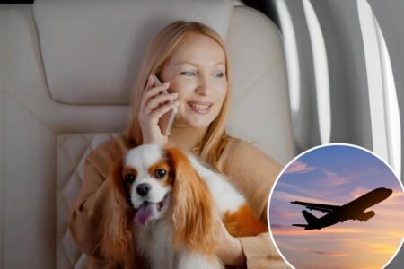Airlines could ban certain disruptive conversations on flights under ‘passenger sanity’ bill Airlines could ban certain disruptive conversations on flights under ‘passenger sanity’ bill