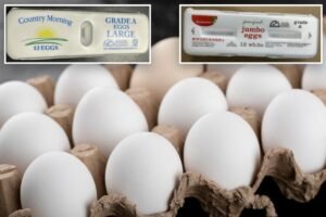 19 million eggs recalled at several supermarkets over possible salmonella contamination 19 million eggs recalled at several supermarkets over possible salmonella contamination