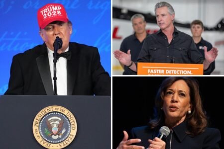 Trump hits Gavin Newsom, Kamala Harris with brutal one-two punch at White House Correspondents’ Association Dinner Trump hits Gavin Newsom, Kamala Harris with brutal one-two punch at White House Correspondents’ Association Dinner