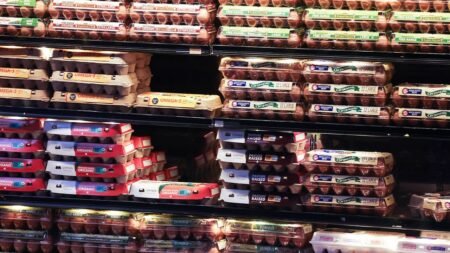 DOJ reaches settlement with major egg producers over alleged price manipulation DOJ reaches settlement with major egg producers over alleged price manipulation