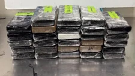 Border agents uncover .7M in cocaine masquerading as a cucumber delivery Border agents uncover .7M in cocaine masquerading as a cucumber delivery