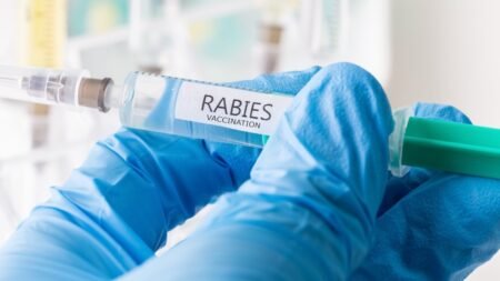 11-year-old dies from rabies after bat landed on his face while he was sleeping 11-year-old dies from rabies after bat landed on his face while he was sleeping