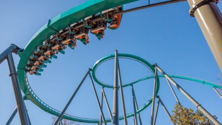 Terrifying scene unfolds at Six Flags as storm-toppled tree sends 4 guests to hospital