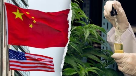 Former acting DHS secretary warns Chinese criminal organizations are infiltrating America’s hemp industry
