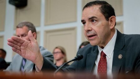 House Dem back in the spotlight as brother faces up to 10 years in prison if convicted House Dem back in the spotlight as brother faces up to 10 years in prison if convicted
