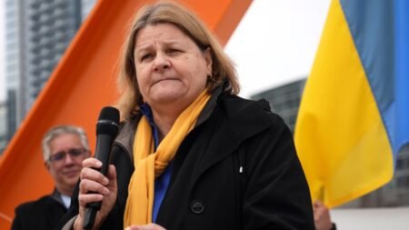 Former Wisconsin Judge Hannah Dugan avoids jail time for obstructing arrest of illegal immigrant Former Wisconsin Judge Hannah Dugan avoids jail time for obstructing arrest of illegal immigrant