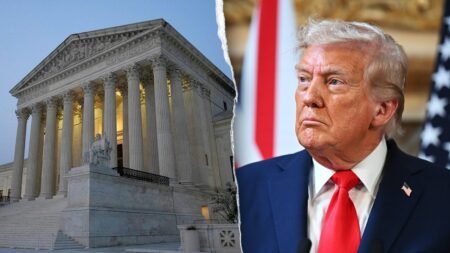 Trump to ask Supreme Court to rehear birthright citizenship case after ‘insane decision’ Trump to ask Supreme Court to rehear birthright citizenship case after ‘insane decision’