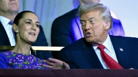 Mexico vows US will pay after ICE fatally shoots illegal migrant who allegedly attempted to ram agent with car Mexico vows US will pay after ICE fatally shoots illegal migrant who allegedly attempted to ram agent with car