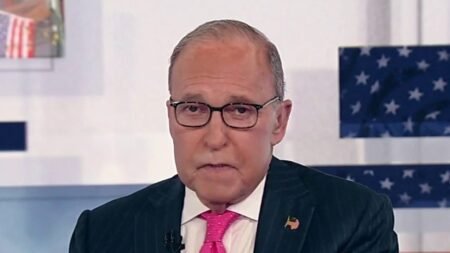 LARRY KUDLOW: What is JD Vance doing?