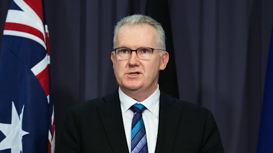 Home Affairs Minister Tony Burke.
