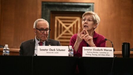 Warren defies Schumer as Dem civil war explodes over must-win Senate race Warren defies Schumer as Dem civil war explodes over must-win Senate race