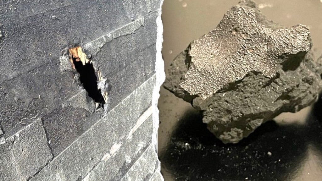 Meteorite that crashed into NJ home holds building blocks of life, scientists say
