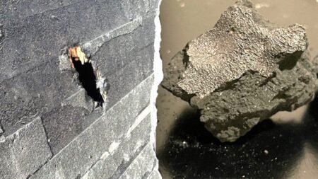 Meteorite that crashed into NJ home holds building blocks of life, scientists say Meteorite that crashed into NJ home holds building blocks of life, scientists say