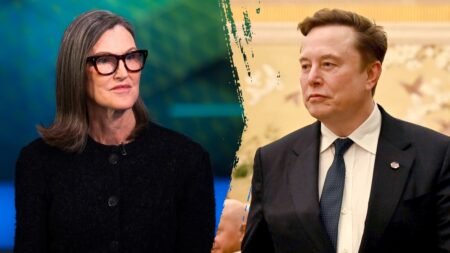 Cathie Wood calls SpaceX ‘most important company’ amid stock pullback