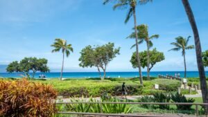 California family members claim they were attacked at luxury Maui resort during violent melee
