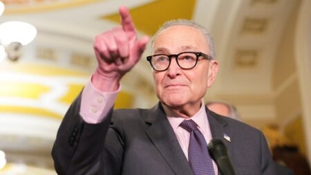 Schumer dodges question on whether DSA belongs in Democratic Party Schumer dodges question on whether DSA belongs in Democratic Party