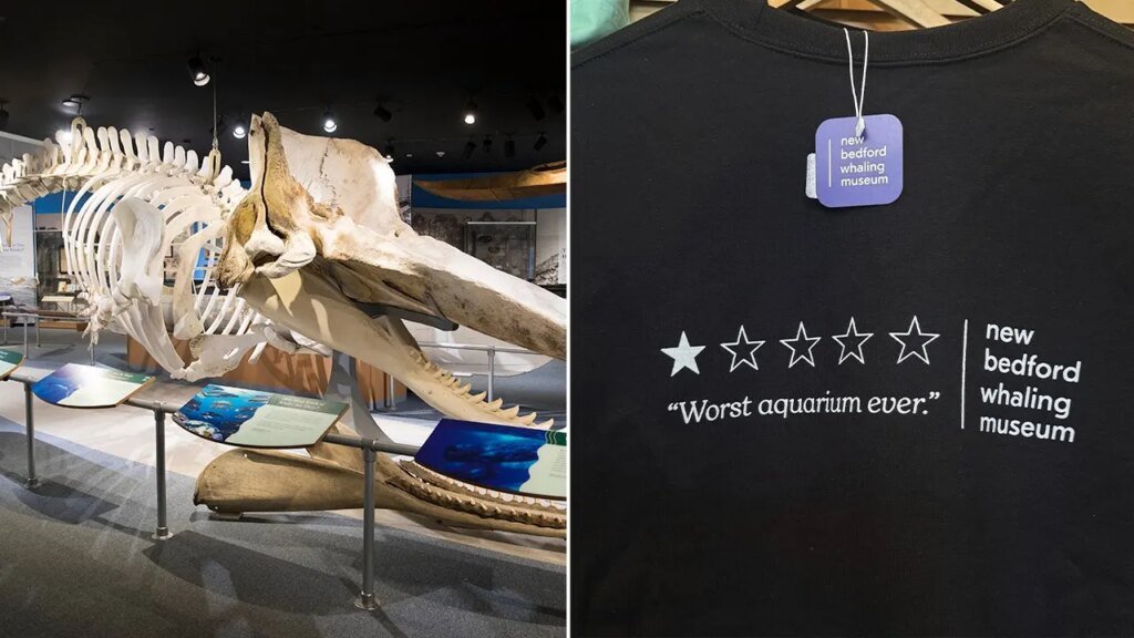 ‘Worst aquarium ever’ review sends whaling museum’s sales soaring 250%