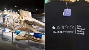 ‘Worst aquarium ever’ review sends whaling museum’s sales soaring 250% ‘Worst aquarium ever’ review sends whaling museum’s sales soaring 250%